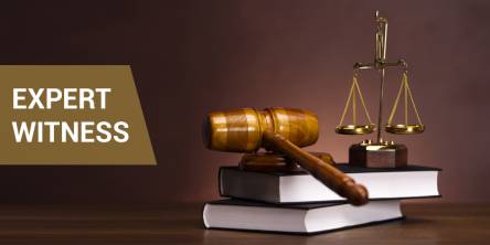 Expert Witness Service