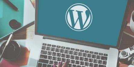 WordPress Theme Customization