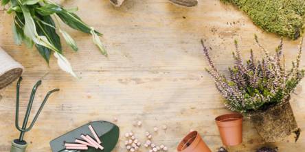 gardening tools