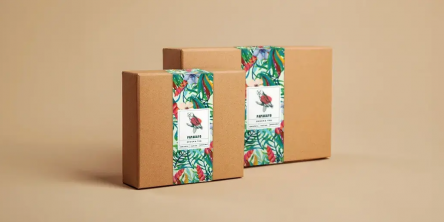 Protect Your Sensitive Products with Sleeve Packaging